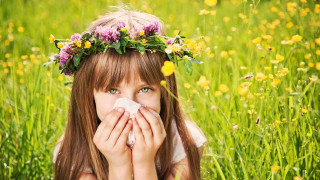 Girl wreath flowers mouth napkin - her mouth free wallpaper