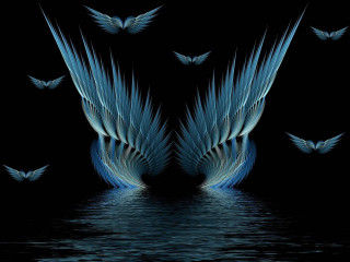 Birds flying over water wings - a group of birds free wallpaper