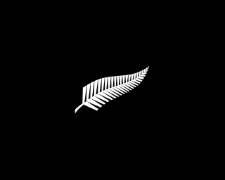 White fern leaf black background - colin mccahon free wallpaper