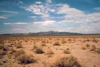 Desert bushes mountains clouds sky - a few bush free wallpaper