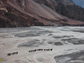 Horses walking frozen river mountains - frozen free wallpaper for desktop