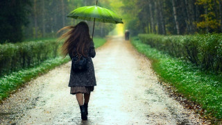 Woman walking road umbrella rain - an umbrella in the rain free wallpaper for desktop
