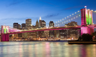 Bridge lights city background nightscape - a bridge free wallpaper