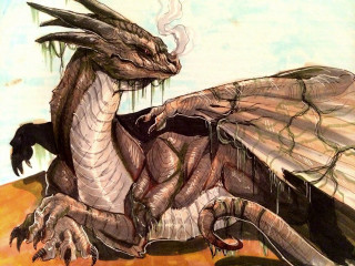 Dragon fantasy water dragon spikes - a drawing of a dragon free wallpaper