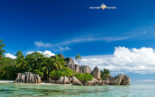 Tropical island palm trees rocks - candido bido free wallpaper