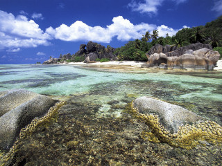 Beach rocks corals blue sky - cloud above free wallpaper