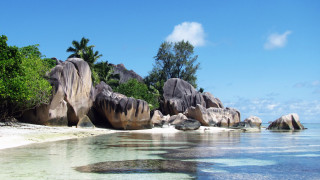 Beach rocks trees water blue 2 - rock and trees free wallpaper