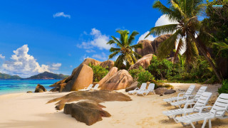 Beach chairs palm trees mountain - didier mouron free wallpaper