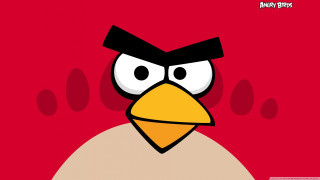 Red angry bird black beak - a black beak free wallpaper
