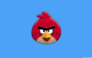Red angry bird blue background - david young cameron free wallpaper