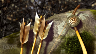Spiral arrows rock moss nature - a spiral design free wallpaper