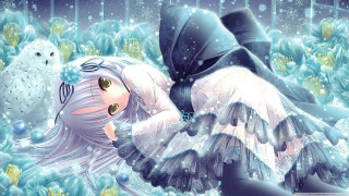 Girl laying snow owl bird - a detailed drawing free wallpaper