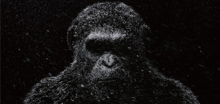 Gorilla snow black background white - white snow free wallpaper