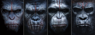 Monkey face blood side series - a series free wallpaper for desktop