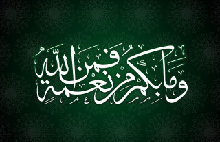 Green background white calligraphy middle - white writing free wallpaper