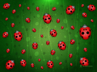 Ladybugs green background bubbles dots - scattered free wallpaper