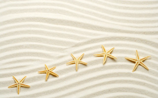 Five starfish sandy beach wave - a sandy beach free wallpaper
