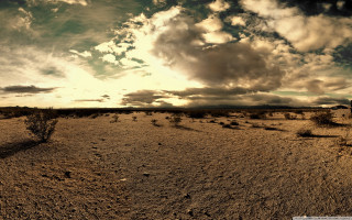 Desert lone tree cloudy sky - ultra wide angle free wallpaper