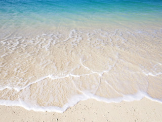 Sandy beach wave blue ocean - a sandy beach free wallpaper