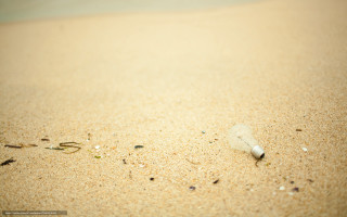 Bottle of wine sand beach - plastic free wallpaper