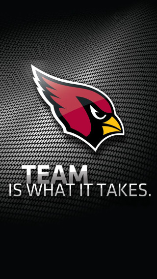 Team takes red fishnet checkered - free bird wallpaper for mobile