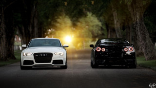 Two cars parked night trees - headlight free wallpaper
