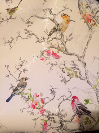 Birds branch flowers leaves vines - branch free wallpaper for mobile