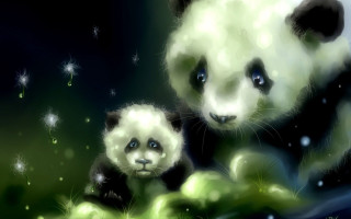 Panda bears grass stars sky - soft painting free wallpaper