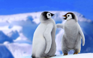 Penguins snowy hill mountains hand - two penguin free wallpaper