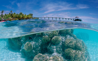 Coral reef pier boat water - a coral reef free wallpaper