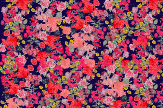 Floral pattern colorful flowers black - a floral pattern free wallpaper for desktop