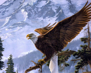 Eagle perched tree mountain snow - majestic free wallpaper
