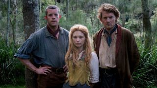 Forest group people trees bushes - a forest next free wallpaper