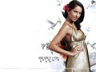 Woman dress posing birds flying - araceli gilbert free wallpaper for desktop