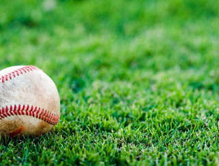 Baseball green field sunny day - a baseball free wallpaper