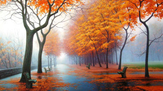 Park benches trees fall colors 4 - evgeny lushpin free wallpaper