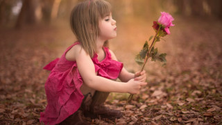 Little girl pink dress rose 3 - a rose free wallpaper