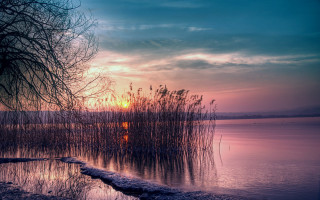 Lake trees water sunset dawn - dawn free wallpaper