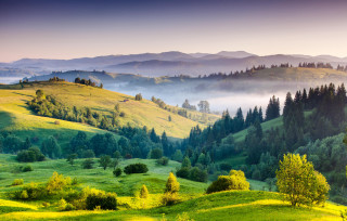 Green valley trees mountains fog - a green valley free wallpaper