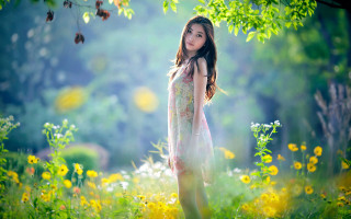 Woman field flowers tree sunlight - chen lin free wallpaper