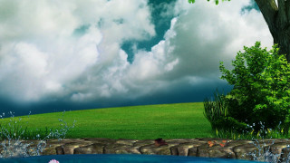 Tree pond field sky clouds - free rain wallpaper for desktop