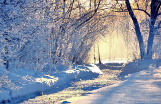 Snowy path trees bench sunbeam - magical free wallpaper