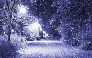 Snowy night park streetlight trees - magical free wallpaper