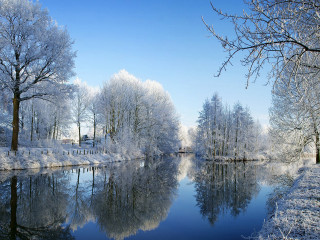 River trees snow forest bushes - a river free wallpaper