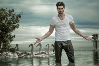 Man standing water swans lake - the side of the water free wallpaper