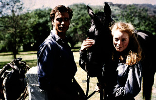 Man woman horse field trees - a horse in a field free wallpaper