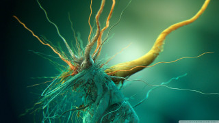 Close up tree branches trunk - biopunk free wallpaper