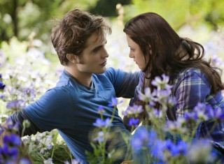 Young man woman sitting field 3 - looking free wallpaper for desktop