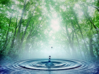Water drop person trees background - water free wallpaper