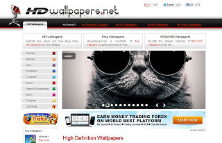 Cat sunglasses looking camera website - its face free wallpaper